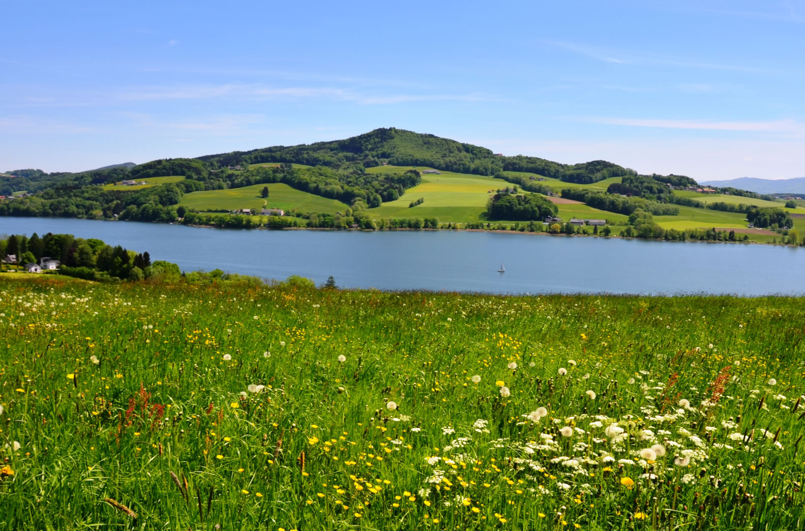 Bio-Heu-Region Trumer Seenland