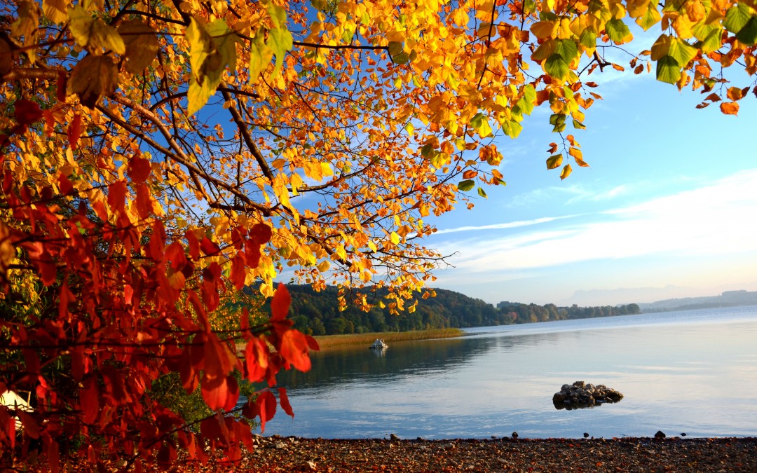 Goldener Herbst in der Bio-Heu-Region