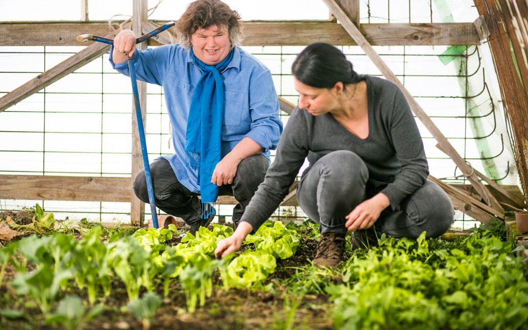 Marianne hält Gartenvorlesungen