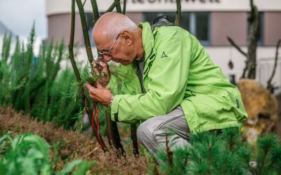 Roman vertritt die Natur