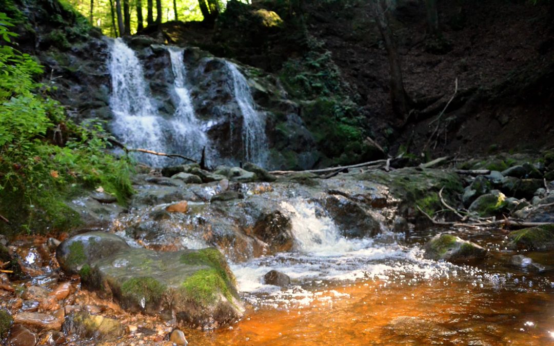 Zauber im Teufelsgraben